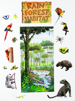 Picture of Rain forest habitat bb set