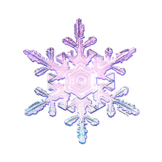 Picture of Snowflakes bb accent