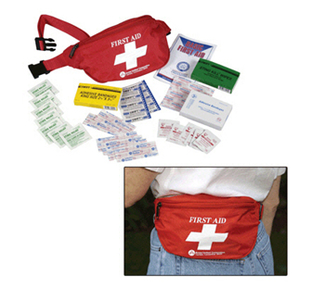 Picture of First aid fanny pack