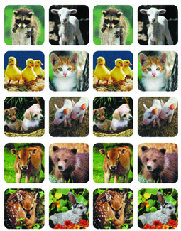 Picture of Baby animals real photos theme  stickers