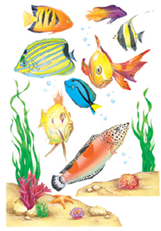Picture of Window cling fish 12 x 17