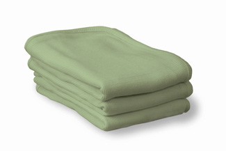 Picture of Thermasoft blanket mint