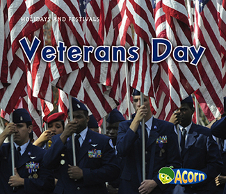 Picture of Holidays & festivals veteran day