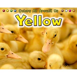 Picture of Yellow colors all around us book