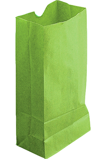Picture of Colored craft bags lime green