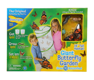 Picture of Giant butterfly garden