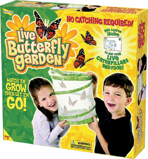 Picture of Butterfly garden