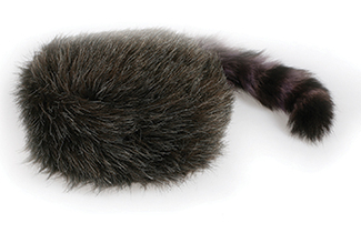 Picture of Raccoon hat