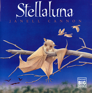 Picture of Stellaluna big book