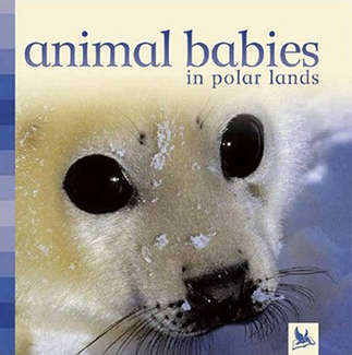 Picture of Animal babies in polar lands
