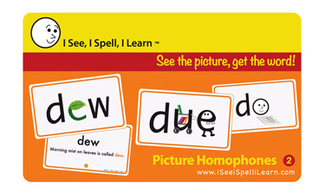Picture of Picture homophones set 2 flash  cards