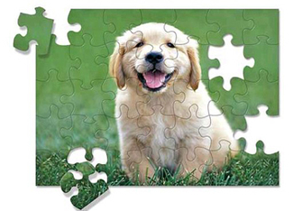 Picture of Golden retriever puppy puzzle 30-pc