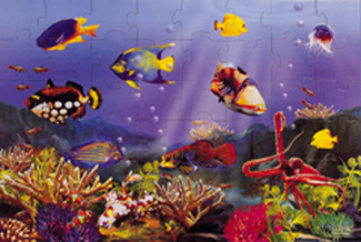 Picture of Floor puzzle underwater