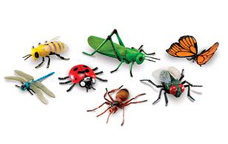 Picture of Jumbo insects