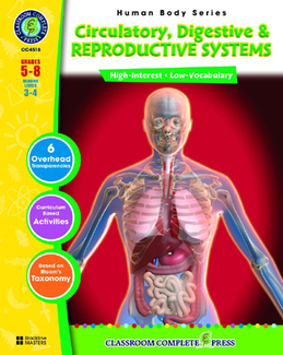 Picture of Circulatory & reproductive systems