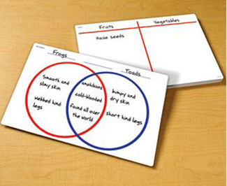 Picture of Venn diagram/t-chart write & wipe  desk mat