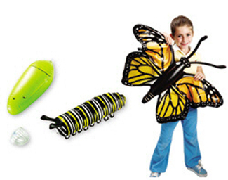 Picture of Inflatable butterfly life cycle