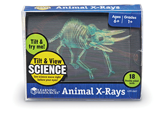 Picture of Tilt & view animal x rays set of 18  4in x 5in