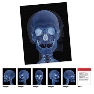 Picture of New view science human body card  set