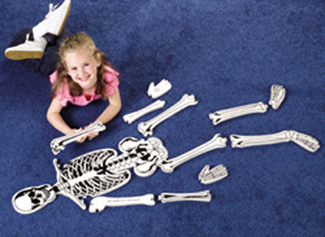 Picture of Skeleton floor puzzle