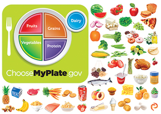 Picture of Myplate flannelboard set