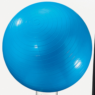 Picture of Exercise ball 24in blue