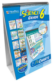 Picture of Science flip chart set gr 6