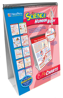 Picture of Human body science flip chart set