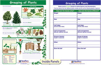 Picture of Grouping of plants visual learning  guide science gr 3-5