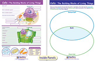 Picture of Cells the building blocks of living  things visual learning science 3-5