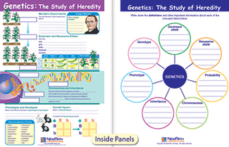 Picture of Genetics the study of heredity  visual learning science gr 6-9