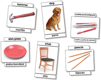Picture of Basic vocabulary language cards