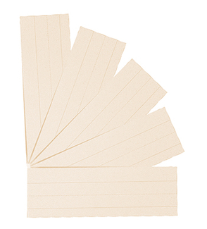 Picture of Flash cards blank 2x3