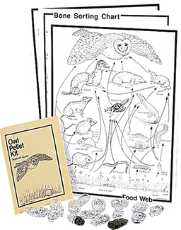 Picture of Perfect pellet owl classroom kit