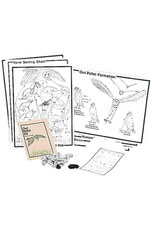 Picture of Student owl pellet deluxe  classroom kit