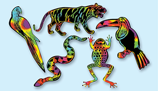 Picture of Scratch art scratchin rainforest  shapes group pack 5 shapes 25/pkg