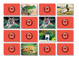 Picture of Animals photographic memory  matching game