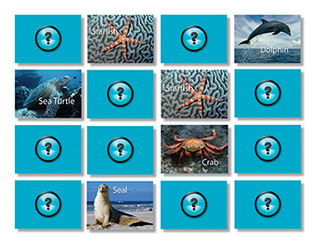 Picture of Sea life photographic memory  matching game