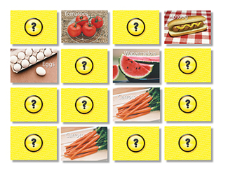 Picture of Food photographic memory matching  game