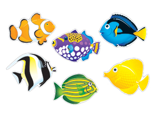 Picture of Fish friends variety pk classic  accents