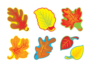 Picture of Fall leaves variety pk classic  accents