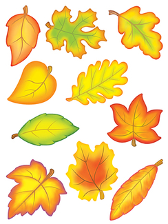 Picture of Accent dazzlers autumn leaves