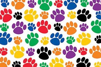 Picture of Colorful paw prints postcard