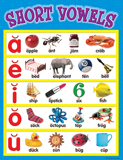 Picture of Short vowels chart 17 x 22