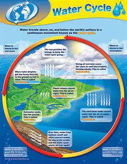 Picture of Water cycle chart