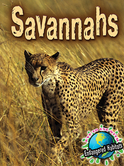 Picture of Savannahs
