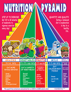 Picture of Nutrition pyramid friendly chart