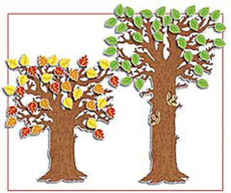 Picture of Bb set classroom tree adjustable  41 to 65