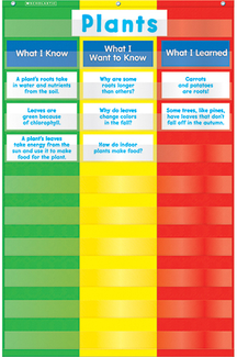 Picture of 3 column chart pocket chart