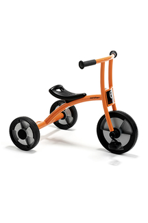 Picture of Tricycle medium age 3-6
